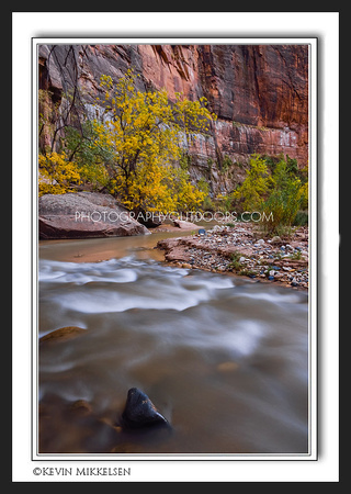 'Stillness in the Canyon' ~ Zion Narrows