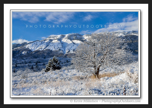 'Winters Frosting' ~ Ogden Valley/North Fork Park