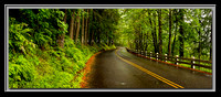 'Scenic Highway' ~ Columbia River Gorge