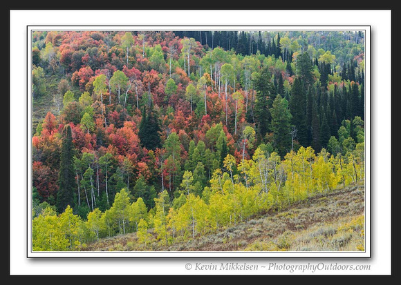 'September Color' ~ Logan Canyon/Tony Grove