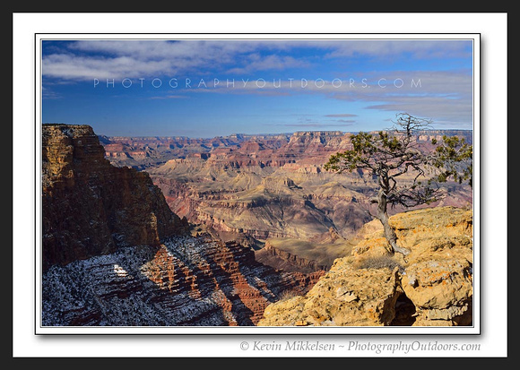 'Grand Canyon Resident' ~ Grand Canyon Nat'l Park