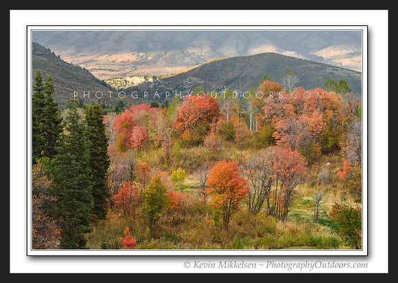 'Autumns View' ~ Trappers Loop
