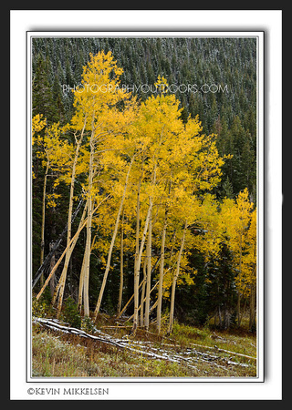 'First Dusting' ~ Big Cottonwood Canyon