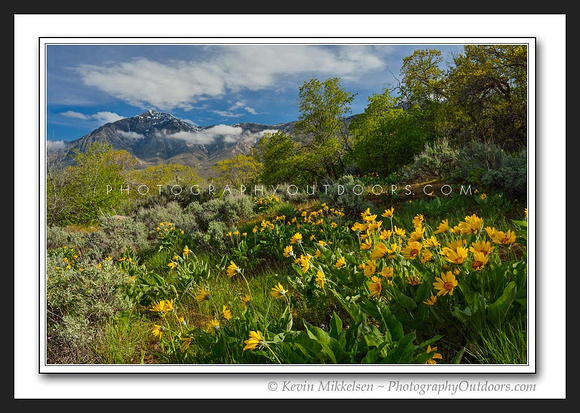 'Spring along the Wasatch' ~ Wasatch Mountain Range