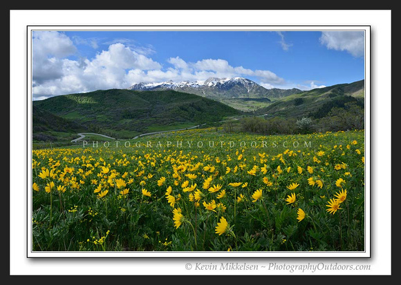 'Snowbasin Spring' ~ Ogden Valley