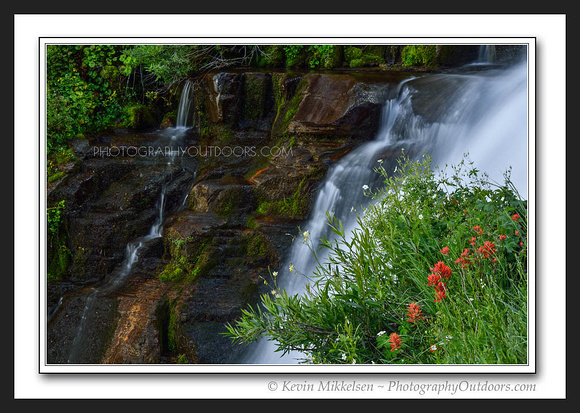 'Waterfall Blooms' ~ Timpanogos Wilderness