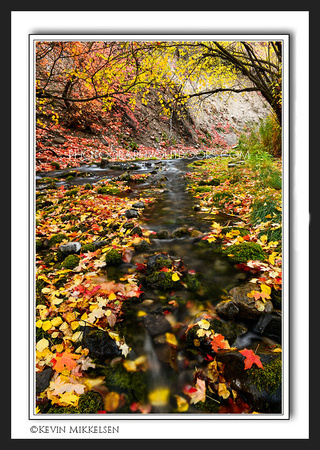 'Waterway of Color' ~ Logan Canyon