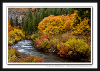 'Autumns Majesty' ~ Logan Canyon Scenic Byway