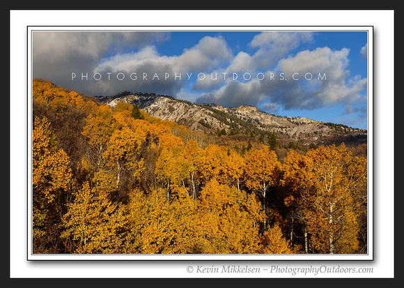'North Fork Autumn' ~ Wasatch Mountains