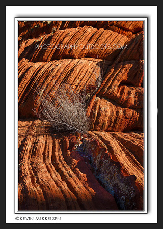 'Growing in Layers' ~ Vermilion Cliffs