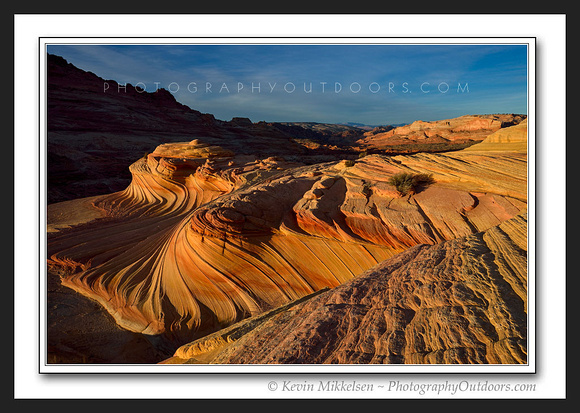 'Sandstone Glow' ~ Vermilion Cliffs Wilderness
