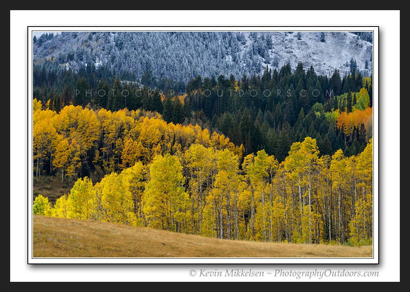 'Changing Elements' ~ Wasatch Nat'l Forest