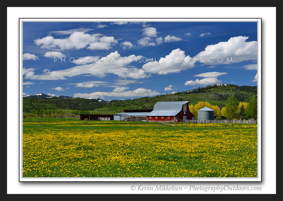 'Spring Dream' ~ Teton Valley
