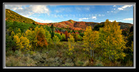 'Autumn's Drama' ~ Wasatch Forest