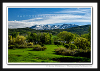 'Spring on the Mountains' ~ Ogden Valley
