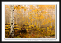 'Mists of Autumn' ~ Pine Creek Road
