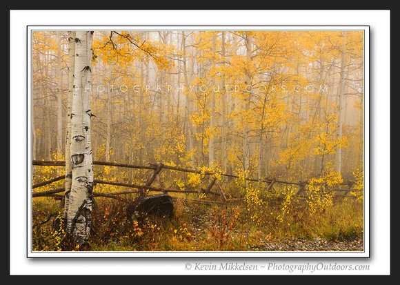 'Mists of Autumn' ~ Pine Creek Road