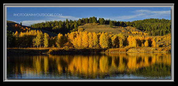 'Oxbow Aspen Sunset' ~ Grand Teton Nat'l Park