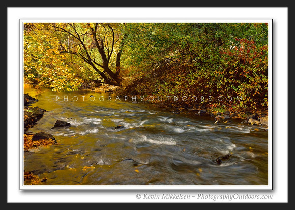 'Autumn Waterway' ~ Ogden River