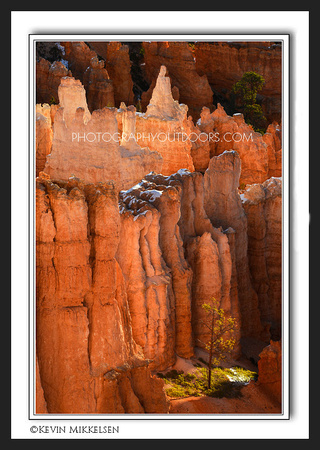 'Solitary Isolation' ~ Bryce Canyon