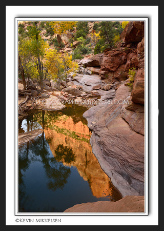 'Reflections of Zion' ~ Zion National Park