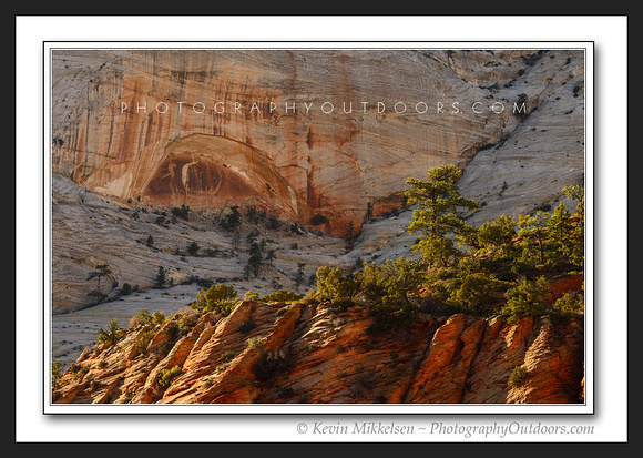 'Forms of Nature' ~ Zion National Park