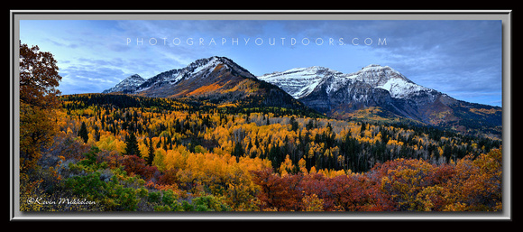 'Autumn Splendor' ~ Alpine Loop Byway