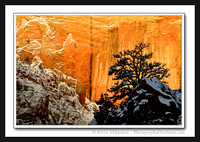 'Frosted Red Rock' ~ Zion Nat'l Park