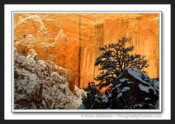 'Frosted Red Rock' ~ Zion Nat'l Park