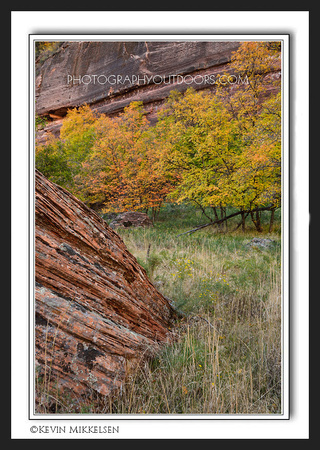 'Red Rock Hues' ~ Zion National Park
