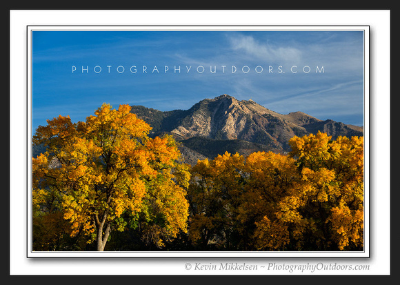 'Mt Ogden Autumn' ~ Ogden, Utah