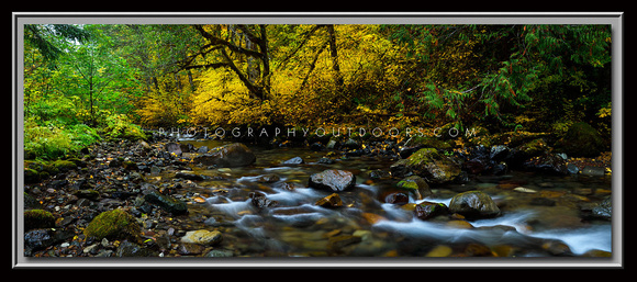 'River of No Return' ~ Gifford/Pinchot Nat'l Forest