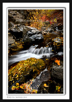 'Autumn on Wheeler Creek' ~ Wheeler Canyon