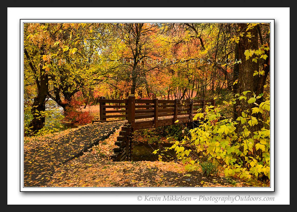 'Bridge to Autumn' ~ American Fork Canyon