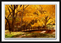 'Autumn River Bridge' ~ Capitol Reef Nat'l Park