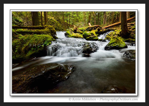 'Center of Light' ~ Gifford/Pinchot Nat'l Forest