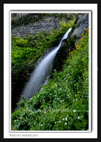 'Aspen Grove Falls' ~ Timpanogos Wilderness