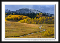 'Road to Gold' ~ Uinta Nat'l Forest
