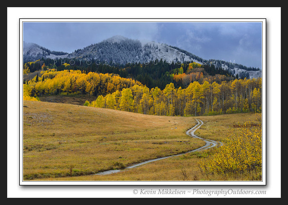 'Road to Gold' ~ Uinta Nat'l Forest