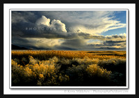 'Tumultuous Sky' ~ Antelope Island