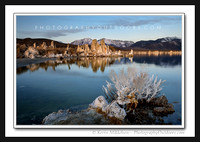 'Salted Frost' ~ Mono Lake