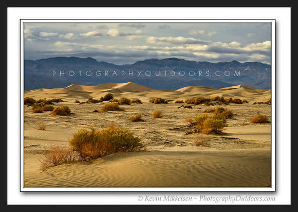 'Life in the Dunes' ~ Death Valley