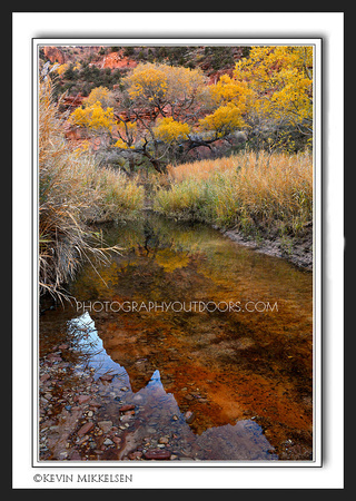 'Reflection of Pine Creek' ~ Zion National Park