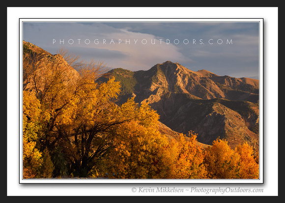 'Mt Ogden Autumn' ~ Wasatch Mountains