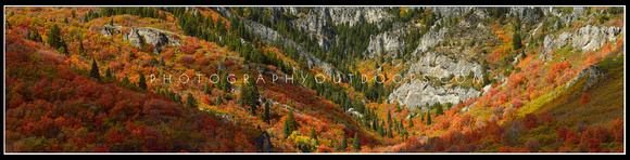 'Canyon of Color' ~ Ogden Canyon