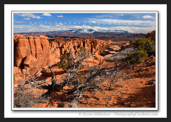 'LaSal Hideaway' ~ Arches National Park