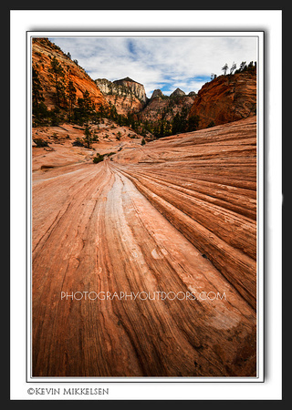'Fading Away' ~ Zion National Park