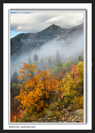 'Autumn in the Mist' ~ American Fork Canyon