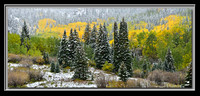 'High Country Winter' ~ Maroon Bells Wilderness