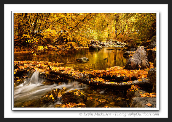 'River of Gold' ~ American Fork Canyon